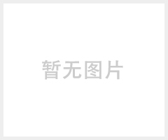 供應(yīng)BAD82防爆無(wú)極燈I/II